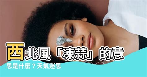 吹北風意思|天氣迷思 — 東南西北風